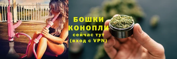 гашик Богданович