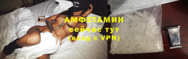 гашик Богданович