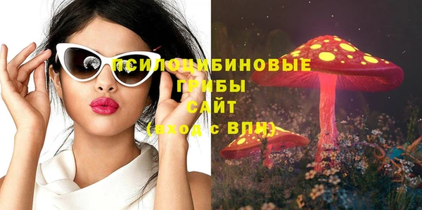 гашик Богданович