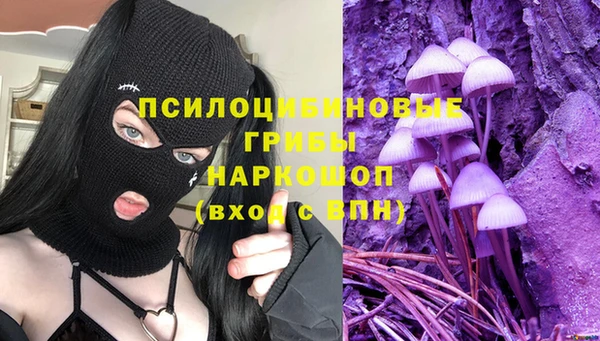 гашик Богданович